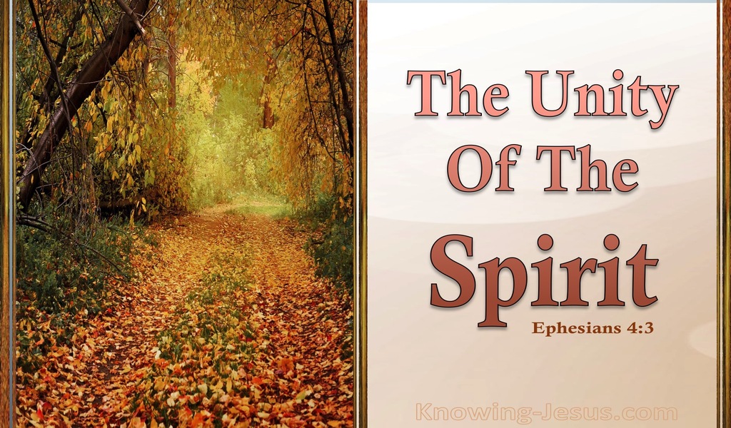 Ephesians 4:3 The Unity Of The Spirit (orange)